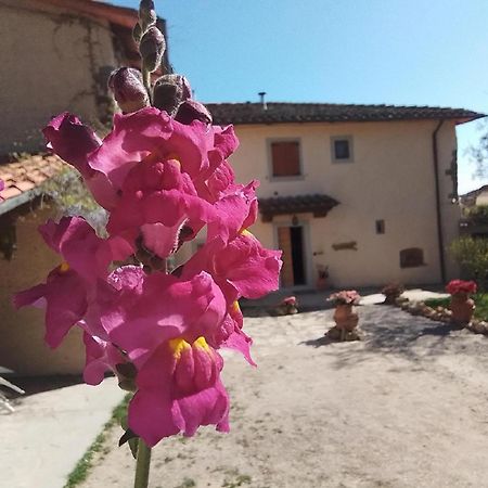 Casa Vacanze Podere Ugolini Ronta Exterior foto