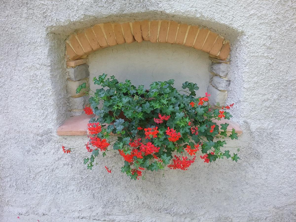 Casa Vacanze Podere Ugolini Ronta Exterior foto