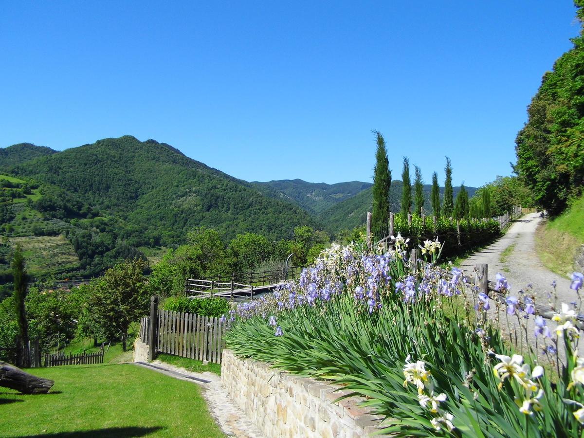 Casa Vacanze Podere Ugolini Ronta Exterior foto